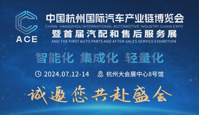 2024年6月新能源汽车销量(图2)
