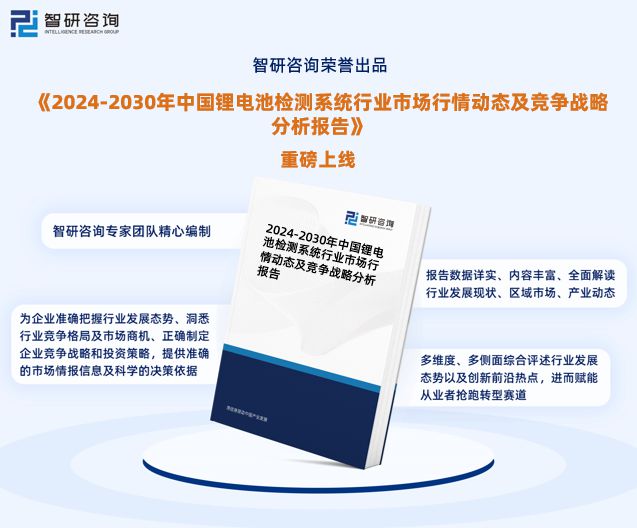 2024年中国锂电池检测系统行业市场全景调查及投资前景研究报告