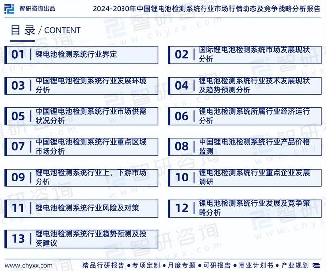 2024年中国锂电池检测系统行业市场全景调查及投资前景研究报告(图2)