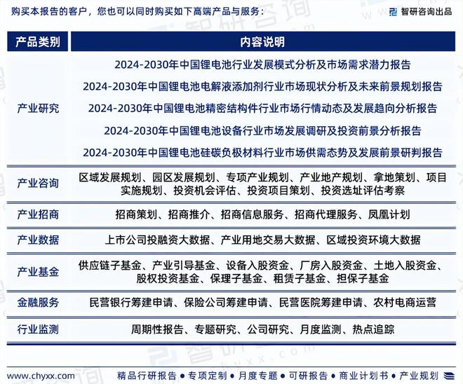 2024年中国锂电池检测系统行业市场全景调查及投资前景研究报告(图7)