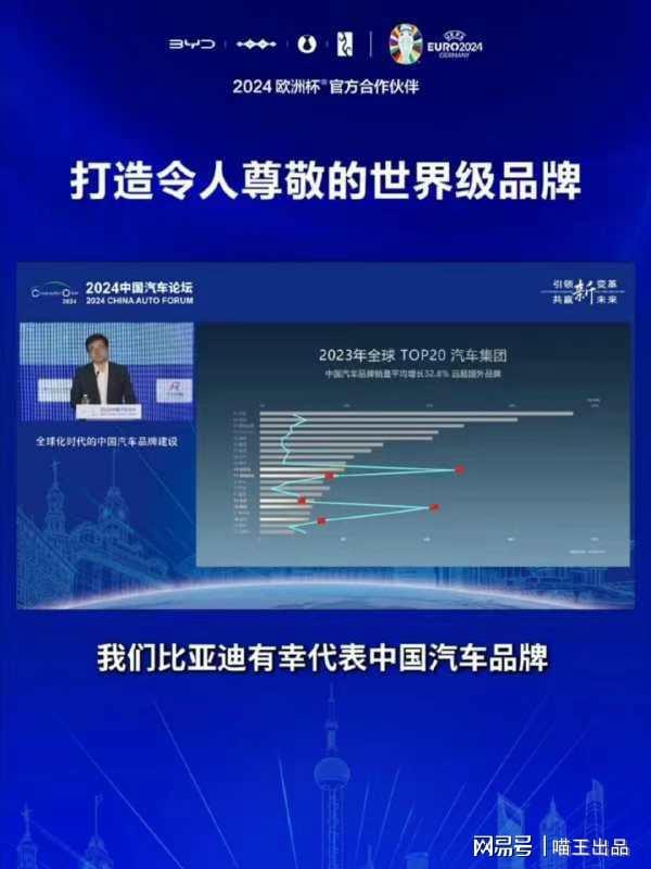 中国新能源汽车行业崛起比亚迪2024上半年批发销量稳居榜首(图2)