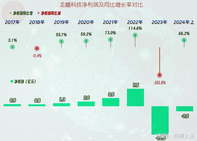 龙蟠科技的过山车坐得酸爽2024年上半年仍在下跌后的爬坡之中(图3)