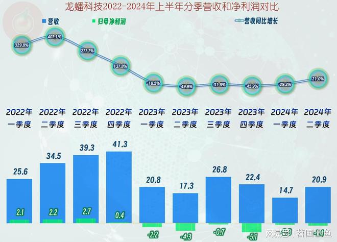 龙蟠科技的过山车坐得酸爽2024年上半年仍在下跌后的爬坡之中(图4)