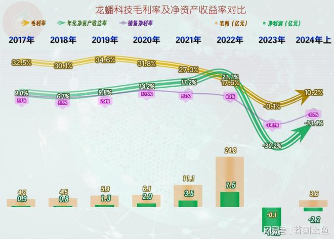 龙蟠科技的过山车坐得酸爽2024年上半年仍在下跌后的爬坡之中(图5)