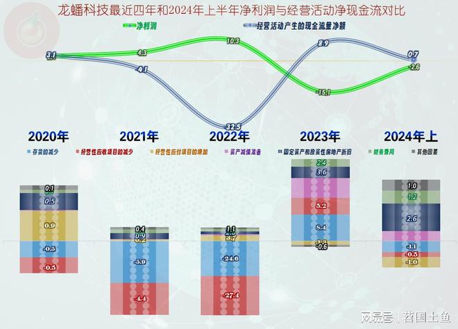 龙蟠科技的过山车坐得酸爽2024年上半年仍在下跌后的爬坡之中(图10)