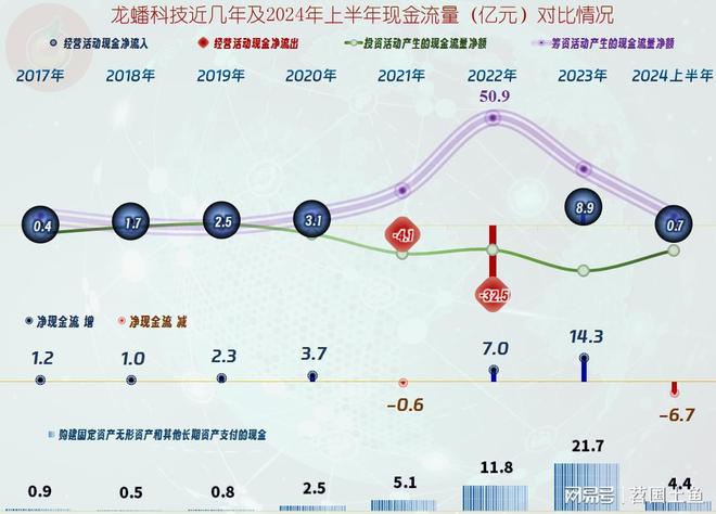龙蟠科技的过山车坐得酸爽2024年上半年仍在下跌后的爬坡之中(图9)
