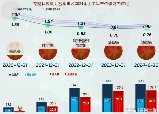 龙蟠科技的过山车坐得酸爽2024年上半年仍在下跌后的爬坡之中(图11)