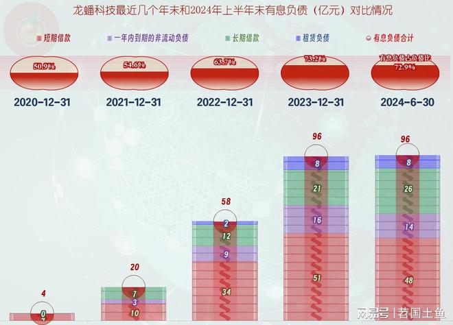 龙蟠科技的过山车坐得酸爽2024年上半年仍在下跌后的爬坡之中(图12)