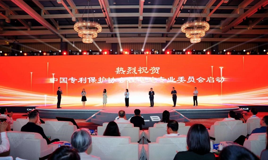中国专利保护协会锂电池专业委员会成立