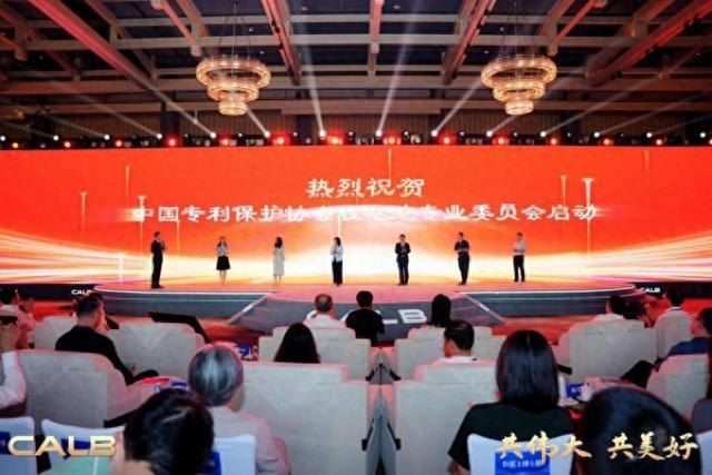 2024中创新航生态大会：中国专利保护协会锂电池专业委员会成立共谋知识产权保护