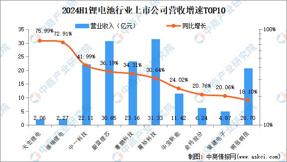 2024年上半年中国锂电池行业上市公司业绩排行榜(图2)