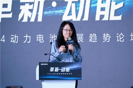 聚焦磷酸铁锂竞争行业专家共话“动力电池”新未来(图3)