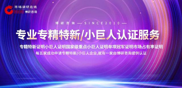 2024年中国全固态锂离子电池行业研究报告(图1)