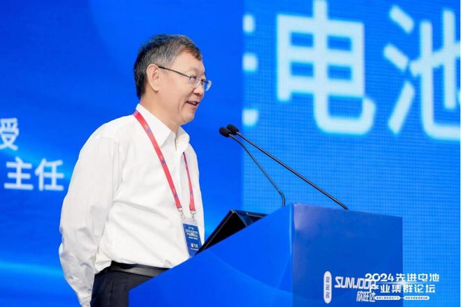 集群汇聚新质生产力 绿色孕育能源新动能 2024先进电池产业集群论坛盛大开幕(图2)