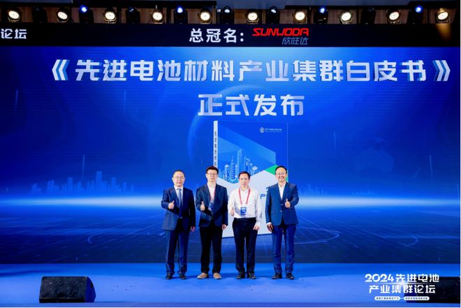 集群汇聚新质生产力 绿色孕育能源新动能 2024先进电池产业集群论坛盛大开幕(图10)