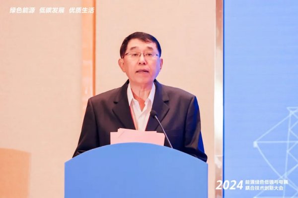 2024能源绿色低碳与电碳耦合技术创新论坛在广州举行(图3)