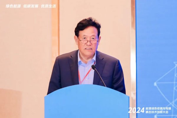 2024能源绿色低碳与电碳耦合技术创新论坛在广州举行(图6)