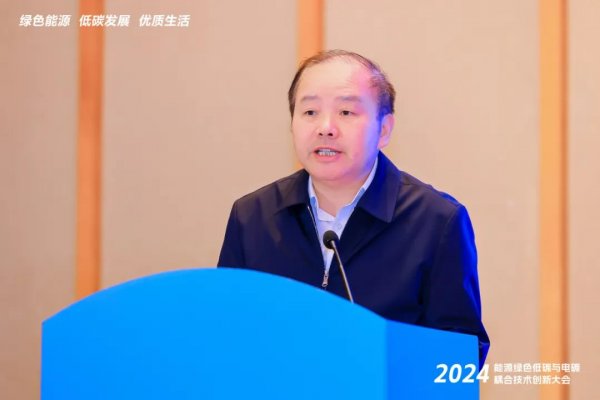 2024能源绿色低碳与电碳耦合技术创新论坛在广州举行(图4)