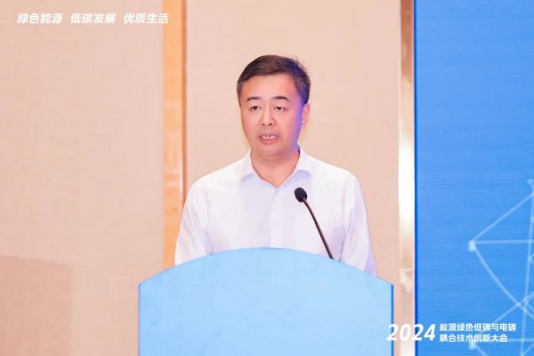 2024能源绿色低碳与电碳耦合技术创新论坛在广州举行(图5)