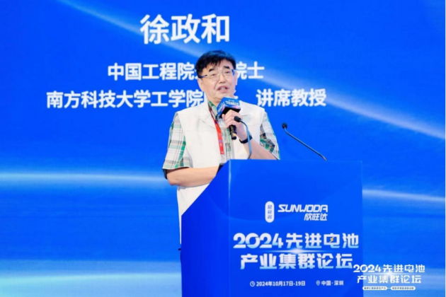 2024第四届先进电池产业集群论坛圆满落幕(图12)