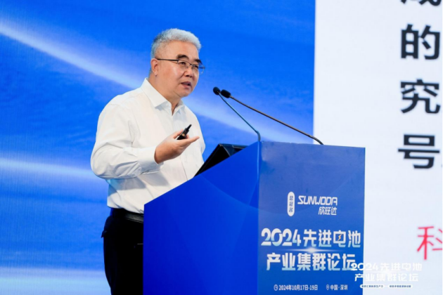 2024第四届先进电池产业集群论坛圆满落幕(图14)