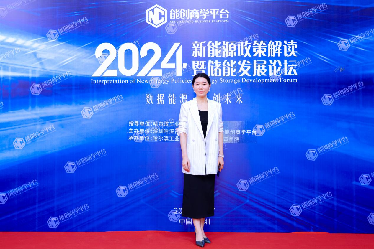 集结顶尖智慧共谋储能未来2024新能源政策解读暨储能发展论坛在深圳召开(图3)