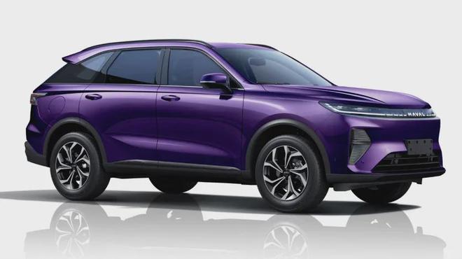 2024年车市降价规模达227款；吉利银河挑战年销百万辆(图6)