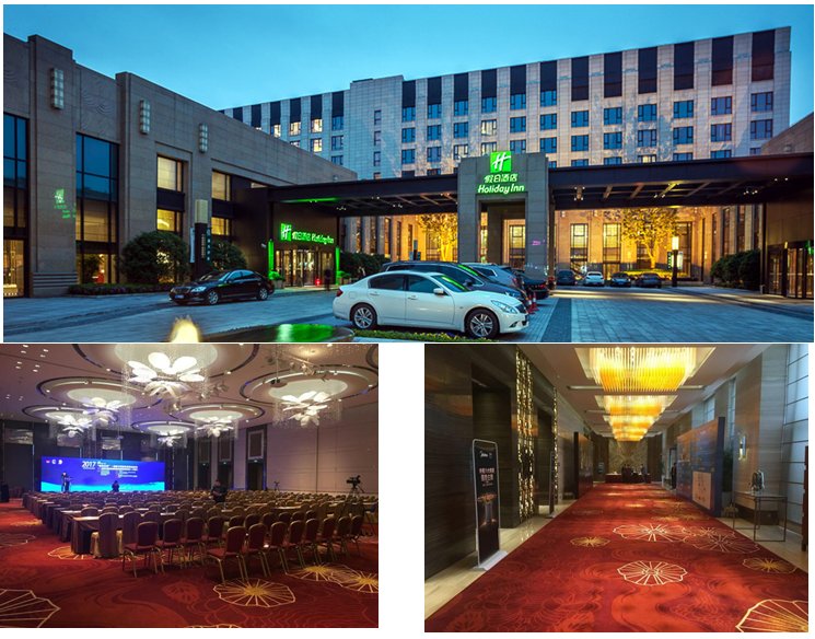 2018中国（国际）锂电暨电动技术发展高峰论坛(图6)