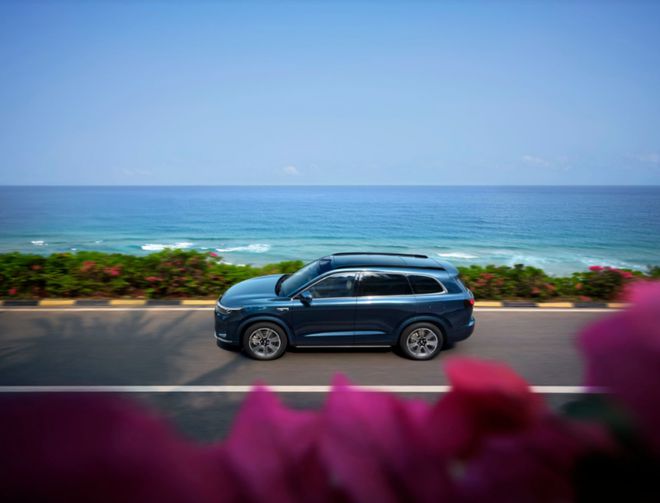 2024新能源市场风起云涌问界凭赛力斯超级增程占据头部(图4)