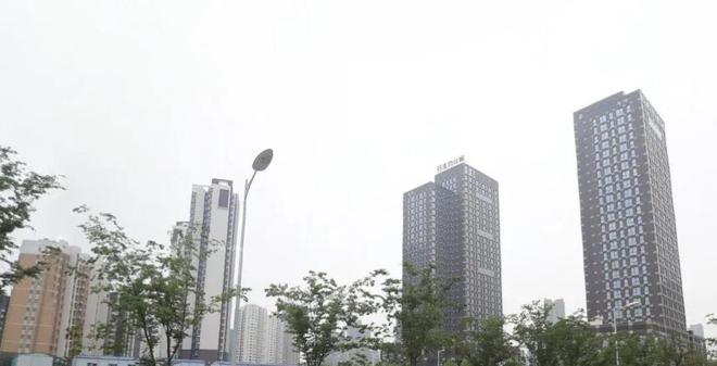 西海岸新区2024年科技计划专项拟立项项目名单披露共21个