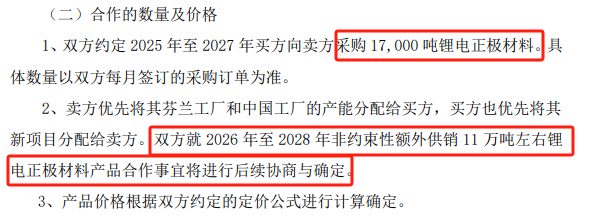 又一超百亿锂电国际大订单落地