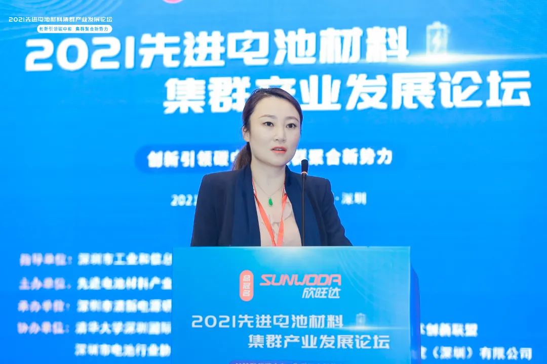 协会协办2021第二届先进电池材料集群产业发展论坛圆满落幕！全国首个锂电池工程师评审标准编制论证会召开！(图6)