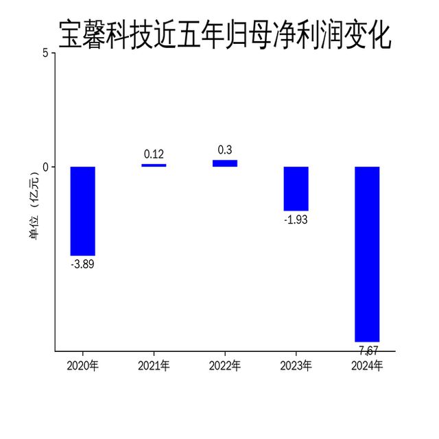 宝馨科技2024年财报：亏损扩大至767亿智能制造与新能源双轮驱动难挽颓势(图2)