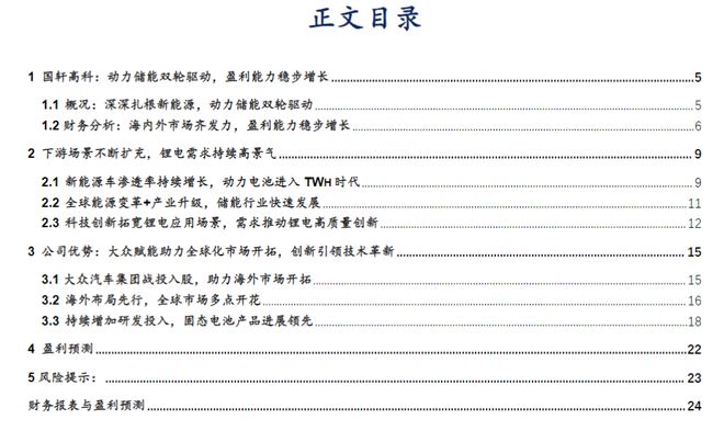 【华安证券·电池】国轩高科（002074）：技术引领推动电池创新高度国际化盈利领先
