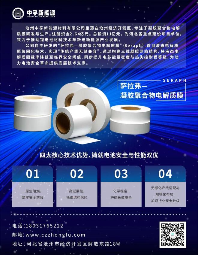 30+锂电上市公司出海“成绩单”(图1)