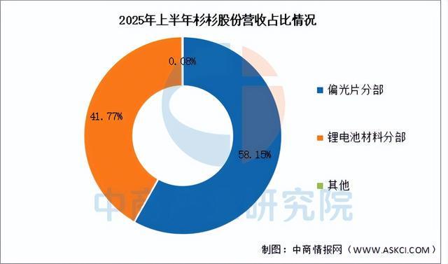 2025年中国负极材料行业市场前景预测研究报告（简版）(图11)