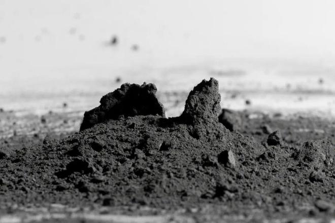 协鑫造“极”(图4)