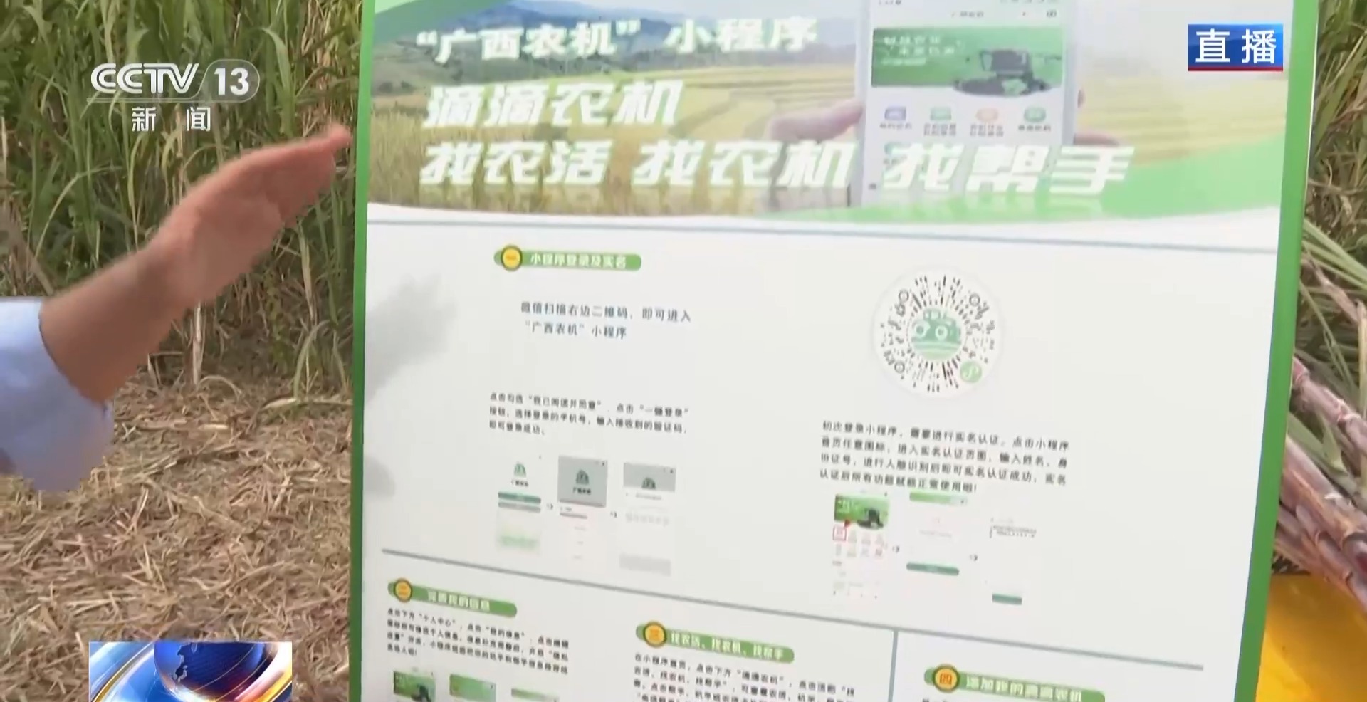 从“榨糖”到“超级电容”揭秘广西甘蔗的甜蜜产业链(图2)