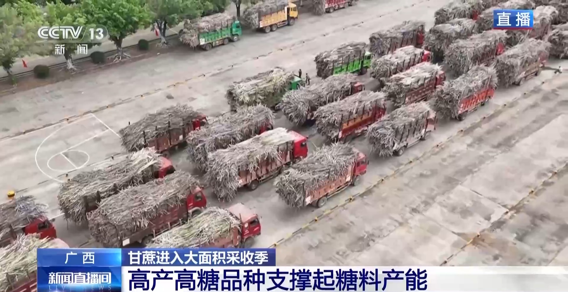 从“榨糖”到“超级电容”揭秘广西甘蔗的甜蜜产业链(图4)