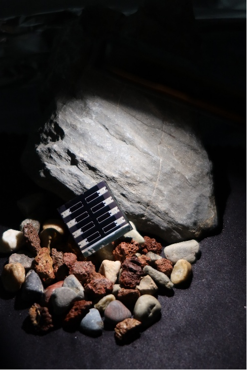 首次、首创、新突破！我国科技发展再添新成果(图2)