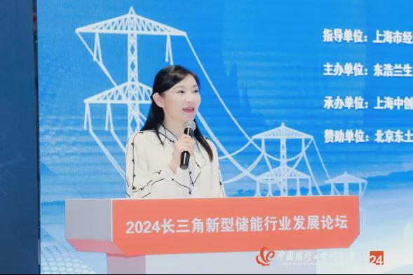 2024长三角新型储能论坛圆满举行苏储协共商行业高质量发展大计(图3)