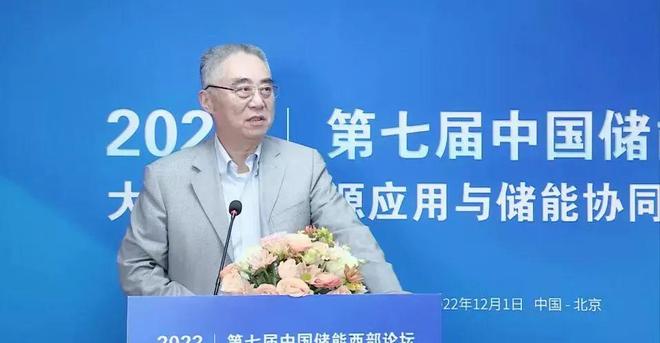 清华大学夏清：以分时容量电价度量储能价值激励新能源与储能协同发展(图1)